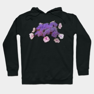 Purple Mophead Hydrangea Hoodie